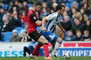 Brighton & Hove Albion vs Ipswich Town: 2013-14 Season Home Game