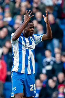 Brighton & Hove Albion vs Ipswich Town (25-12-2012): A Glance at the 2011-12 Home Season