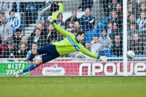 Ipswich Town - 25-12-2012 Prints: Brighton & Hove Albion vs Ipswich Town (25-12-2012): A Nostalgic Look Back at the 2011-12 Home Season