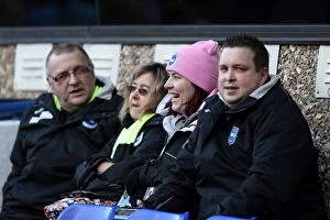 Images Dated 1st January 2013: Brighton & Hove Albion vs Ipswich Town: 2012-13 Away Game