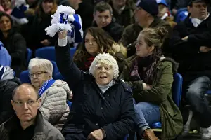 Brighton and Hove Albion vs Ipswich Town: A Fight in the Sky Bet Championship (29DEC15)