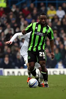 Brighton & Hove Albion vs. Leeds United: 2011-12 Season - Away Game Highlights (February 11, 2012)