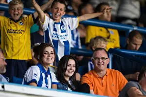 Brighton & Hove Albion vs. Leeds United: 2013-14 Away Game