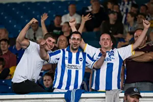 Brighton & Hove Albion vs. Leeds United: 2013-14 Season Away Game (03-08-2013)