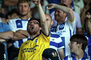 Images Dated 1st January 2000: Brighton & Hove Albion vs. Leeds United: 2013-14 Away Game