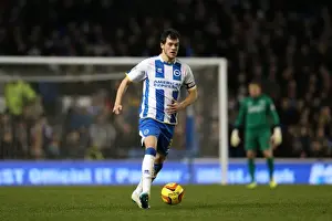 Brighton & Hove Albion vs. Leeds United: A Historic 11-2-2014 Home Game in the 2013-14 Season