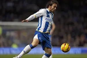 Brighton & Hove Albion vs. Leeds United: A Historic 11-2-2014 Home Game from the 2013-14 Season