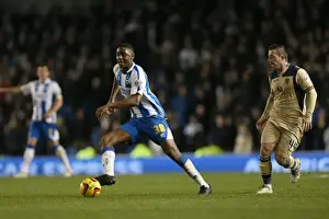 Brighton & Hove Albion vs. Leeds United: A Historic 11-2-2014 Home Game from the 2013-14 Season