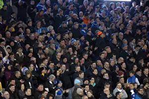 Brighton & Hove Albion vs. Leeds United: A Historic 11-2-2014 Home Game