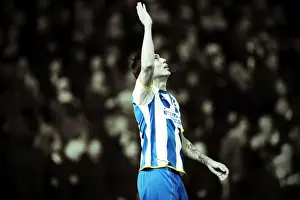 Leeds United 11-02-2014 Prints: Brighton & Hove Albion vs. Leeds United: A Historic 11-2-2014 Home Game