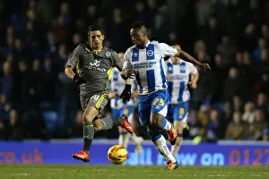 Brighton & Hove Albion vs. Leicester City (07-12-2013) - 2013-14 Home Game