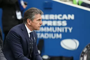 Images Dated 31st March 2018: Brighton and Hove Albion vs Leicester City: Premier League Showdown at American Express Community
