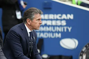 Brighton and Hove Albion vs Leicester City: Premier League Showdown at American Express Community Stadium (31MAR18)