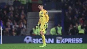 Brighton and Hove Albion vs Leicester City: Premier League Showdown at American Express Community Stadium (November 2018)