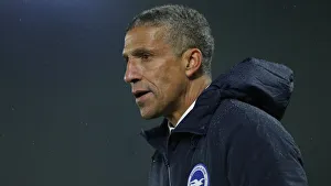 Brighton and Hove Albion vs Leicester City: Premier League Showdown at American Express Community Stadium (November 2018)