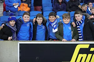 Brighton and Hove Albion vs Leicester City: Premier League Showdown at American Express Community Stadium (Nov 2019)