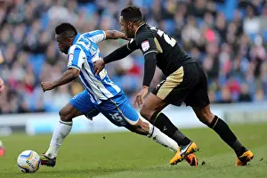 Leicester City - 06-04-2013 Prints: Brighton & Hove Albion vs. Leicester City (2012-13): A Memorable Home Victory - 06-04-2013