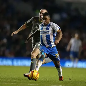 Leicester City - 07-12-2013 Prints: Brighton & Hove Albion vs. Leicester City (2013-14): Home Game Highlights - 07-12-2013