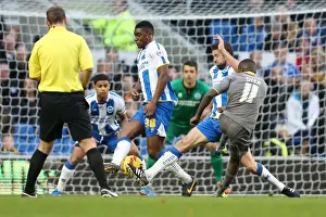 Brighton & Hove Albion vs. Leicester City (2013-14): Home Game Highlights (07-12-2013)