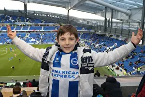 Brighton & Hove Albion vs. Leicester City (2013-14 Season): A Home Game - 7 December 2013