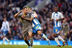 Brighton & Hove Albion vs. Leicester City (2013-14 Season): A Home Game - 7 December 2013