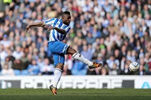 Images Dated 6th April 2013: Brighton & Hove Albion vs. Leicester City (2013): A Past Season Clash from the 2012-13 Campaign