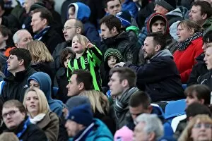 Images Dated 6th April 2013: Brighton & Hove Albion vs. Leicester City (06-04-2013): A Glimpse into Our 2012-13 Home Season