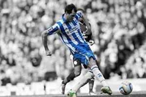 Images Dated 19th July 2001: Brighton & Hove Albion vs. Leicester City (2012-13 Season): A Home Game Review - 6th April 2013