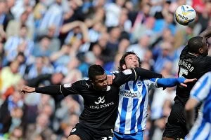 Images Dated 6th April 2013: Brighton & Hove Albion vs. Leicester City (06-04-2013) - 2012-13 Season Home Game