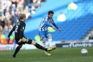Images Dated 6th April 2013: Brighton & Hove Albion vs. Leicester City (2012-13): A Past Season Home Game