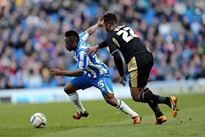 Images Dated 6th April 2013: Brighton & Hove Albion vs Leicester City (06-04-2013): A Nostalgic Look Back at the 2012-13 Home