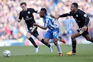 Images Dated 6th April 2013: Brighton & Hove Albion vs. Leicester City (06-04-2013): A Nostalgic Look Back at the 2012-13 Home