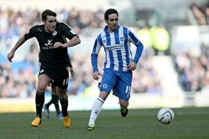 Images Dated 6th April 2013: Brighton & Hove Albion vs. Leicester City (2012-13): A Home Game Review - 06-04-2013