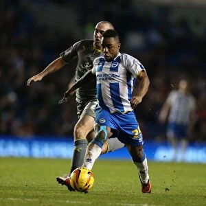 Images Dated 7th December 2013: Brighton & Hove Albion vs. Leicester City (2013-14): Home Game Highlights - 07-12-2013