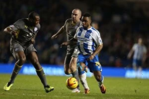 Images Dated 7th December 2013: Brighton & Hove Albion vs. Leicester City (2013-14 Season): A Home Game - 7 December 2013