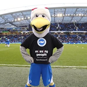 Images Dated 7th December 2013: Brighton & Hove Albion vs. Leicester City (2013-14): Home Game Highlights (07-12-2013)