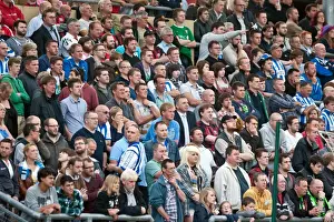 Lewes Prints: Brighton & Hove Albion vs Lewes: 2012-13 Pre-Season Clash