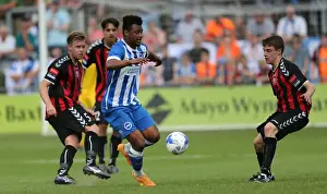 Brighton & Hove Albion vs Lewes: Pre-Season Clash at The Dripping Pan (18.07.2015)