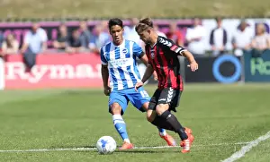Brighton and Hove Albion vs Lewes: Pre-Season Friendly Clash at Dripping Pan (18 July 2015)