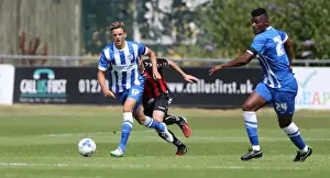 Brighton and Hove Albion vs Lewes: Pre-Season Friendly Clash at Dripping Pan (18th July 2015)