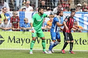 Brighton and Hove Albion vs Lewes: Pre-Season Friendly Clash at Dripping Pan (18th July 2015)