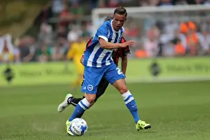 Brighton and Hove Albion vs Lewes: Pre-Season Friendly Clash at Dripping Pan (18th July 2015)