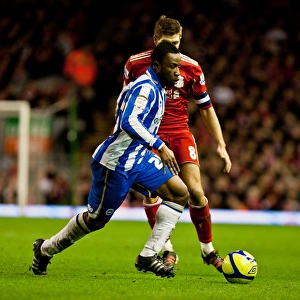 Liverpool (FAC) - 19-02--12 Prints: Brighton & Hove Albion vs. Liverpool (FA Cup, 2011-12): Away Game