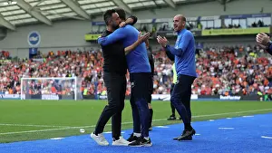 Brighton and Hove Albion vs. Luton Town: 2023/24 Premier League Clash at American Express Stadium
