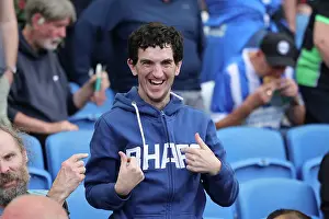 Brighton and Hove Albion vs. Luton Town: 2023/24 Premier League Clash at American Express Stadium