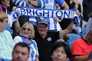 Brighton and Hove Albion vs. Luton Town: 2023/24 Premier League Clash at American Express Stadium