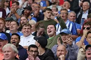 Brighton and Hove Albion vs. Luton Town: 2023/24 Premier League Clash at American Express Stadium