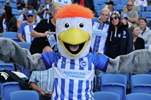 Images Dated 12th August 2023: Brighton & Hove Albion vs. Luton Town: Premier League Battle at American Express Stadium (12Aug23)