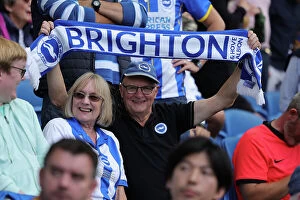 Images Dated 12th August 2023: Brighton and Hove Albion vs. Luton Town: 2023/24 Premier League Clash at American Express Stadium