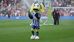 Images Dated 12th August 2023: Brighton and Hove Albion vs. Luton Town: Premier League Battle at American Express Stadium